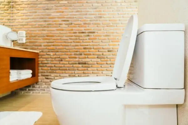 Transform Your Toilet into a High-Tech Haven with Smart Toilets
